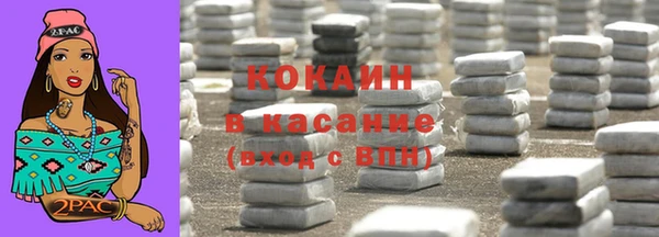 шишки Абаза