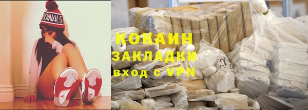 шишки Абаза