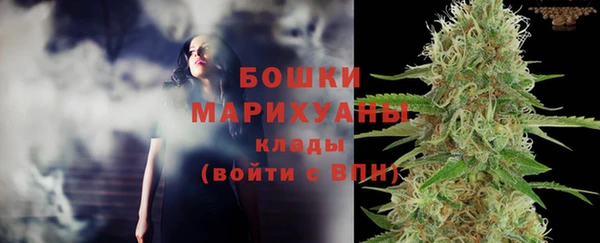 шишки Абаза