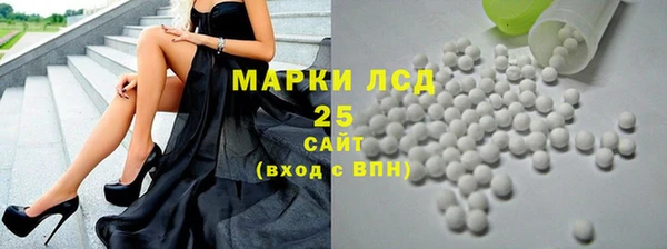 шишки Абаза
