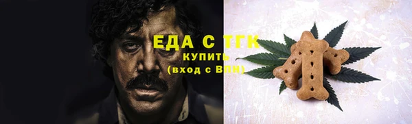 шишки Абаза