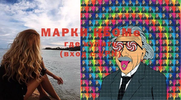 шишки Абаза