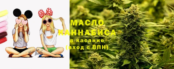 шишки Абаза