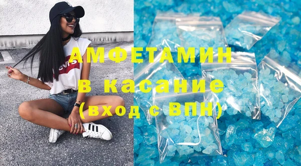 шишки Абаза