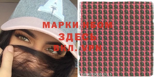 шишки Абаза