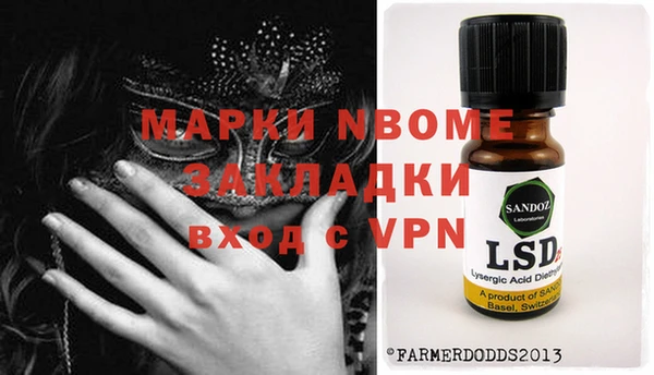 шишки Абаза