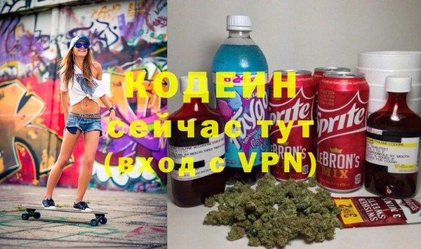 шишки Абаза